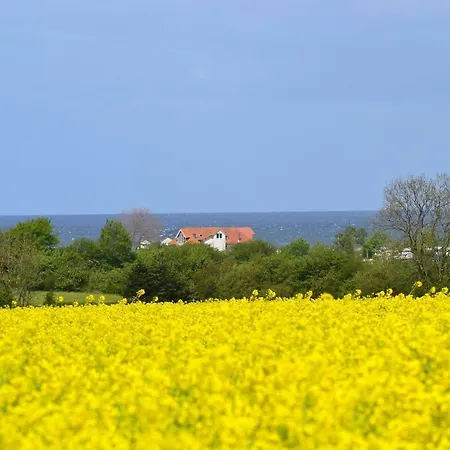 Steiner Strandappartements 310 Suedseite Mit Seitlichem Meerblick